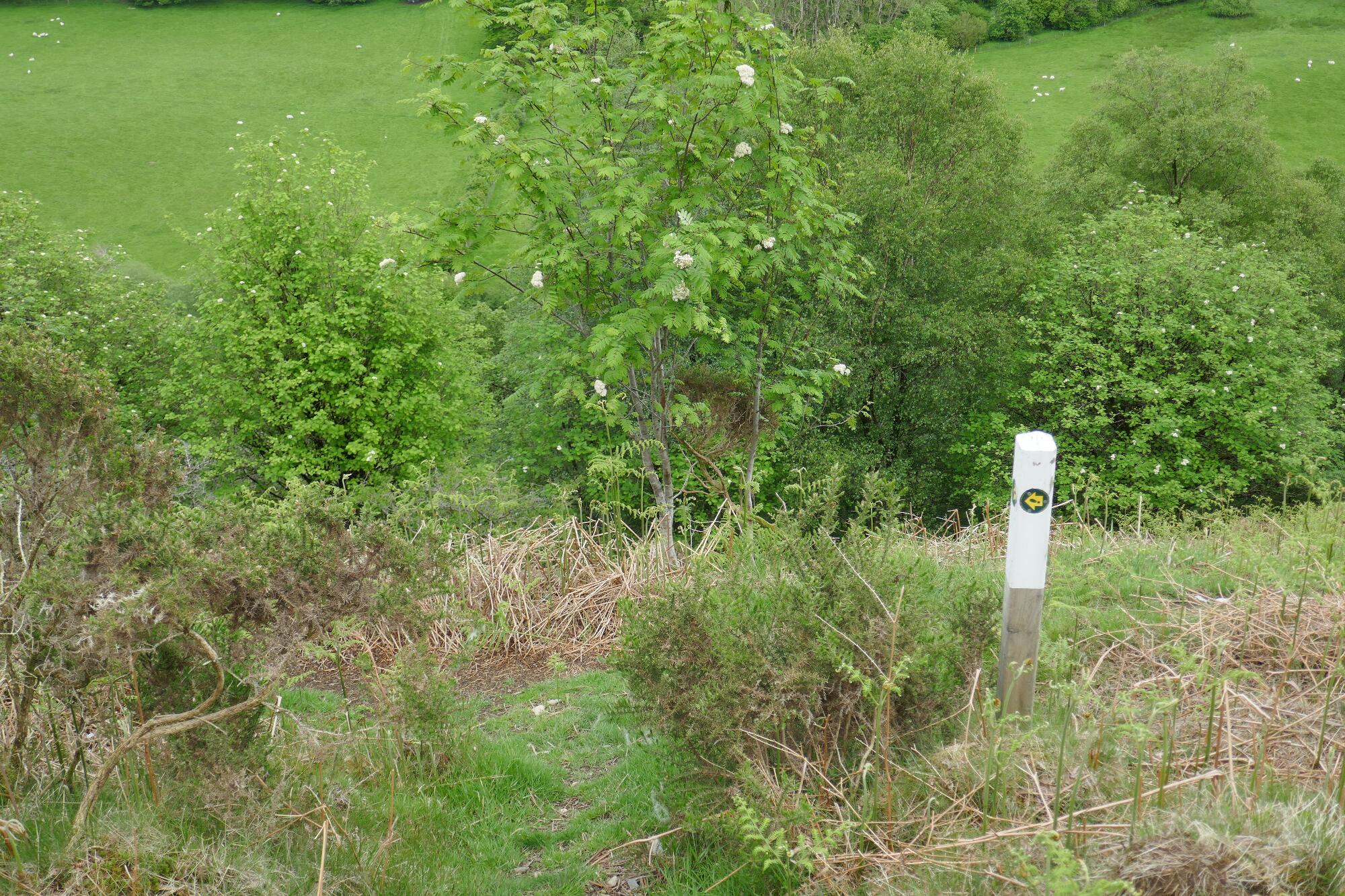 RachelSeabrook.net | Wild Walking | Devils-Bridge; pic24